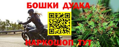a pvp Можга