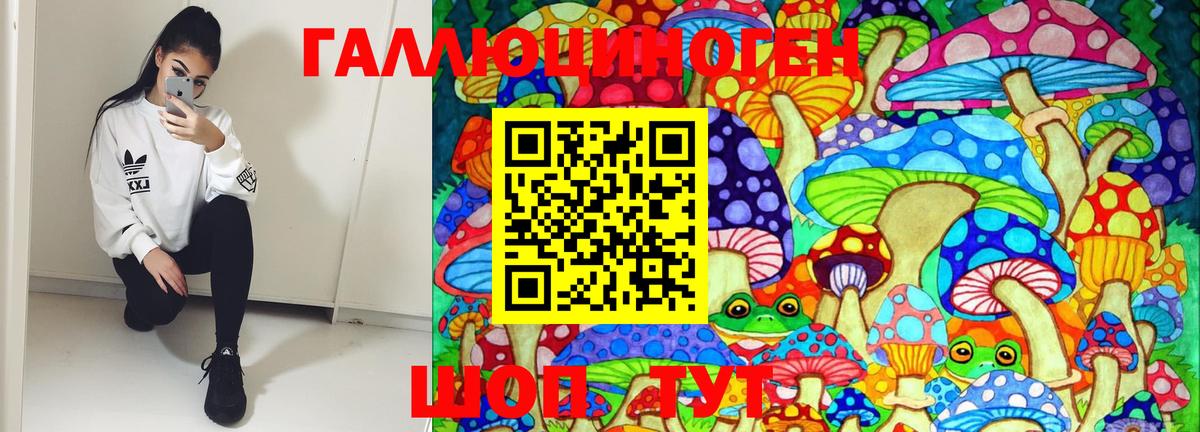 Галлюциногенные грибы MAGIC MUSHROOMS  Вход с VPN  наркошоп  Ярославль  Псилоцибиновые грибы Psilocybe 